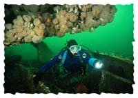 Diver on wreck...